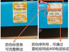 自動(dòng)化助力信息化升級(jí) 雷柏產(chǎn)品查詢(xún)系統(tǒng)革新信息咨詢(xún)體驗(yàn)